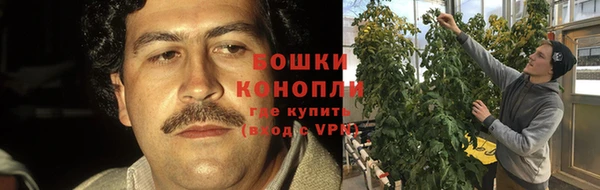 крисы Надым