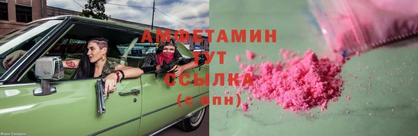 крисы Надым