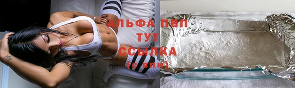 крисы Надым