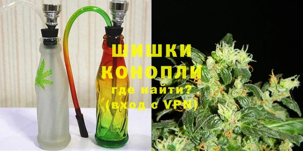 крисы Надым