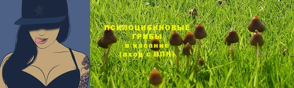круглые Михайловск