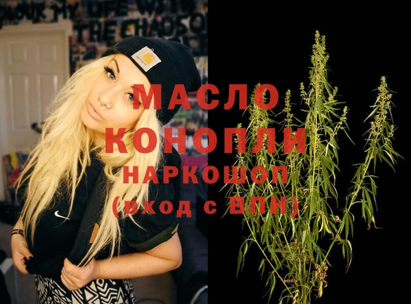 крисы Надым